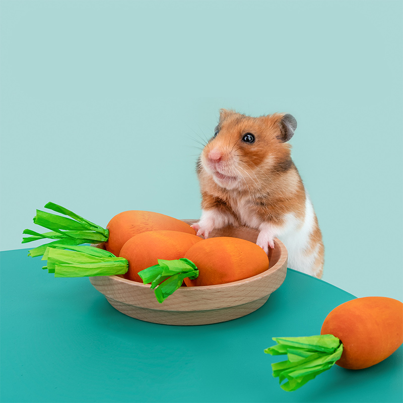 Niteangel Aitbarn rat rabbit Dutch pig natural grinders nibble toy hamster cage building supplies