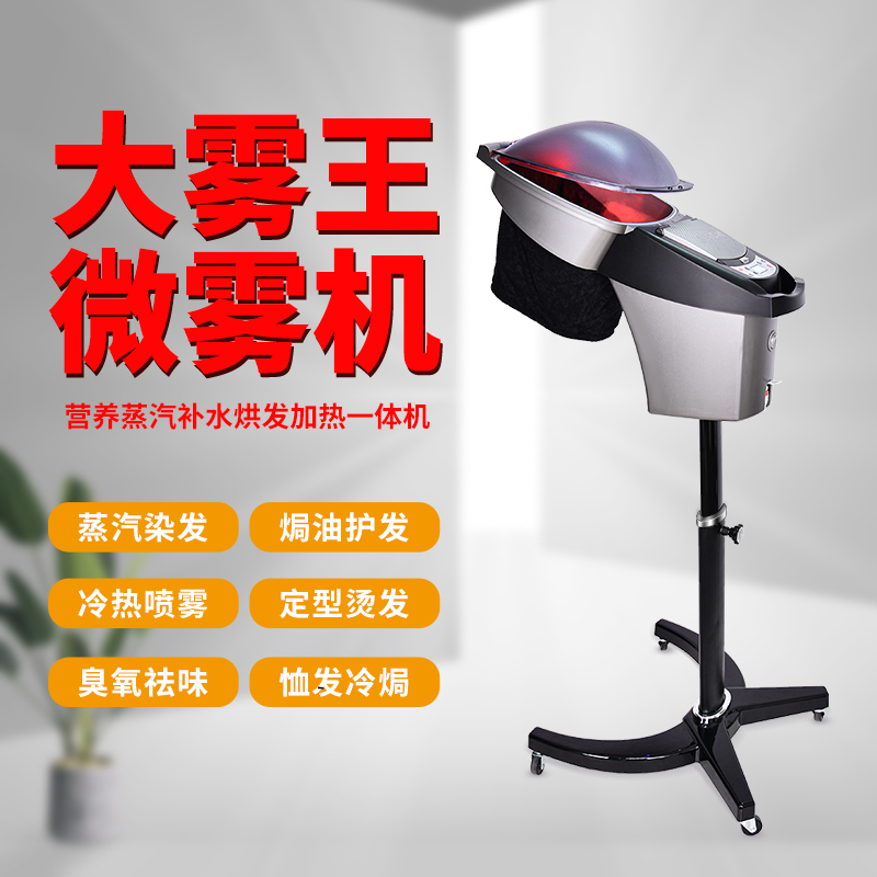 New Hairway Steam Oil Machine Hair Hair 03 Ozone Care Machine Nutrition Machine Spray Hairy Store for New Hairdryer