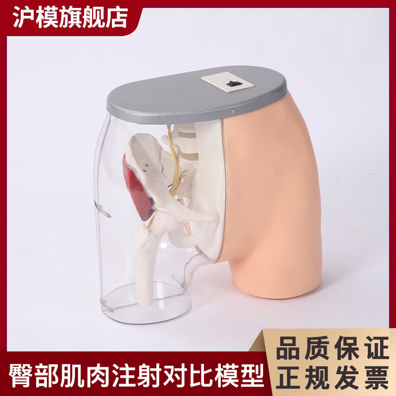 沪模 HM/H10臀部肌肉注射及透明对比模型臀部肌肉注射穿刺训练教学假人带检测警示系统