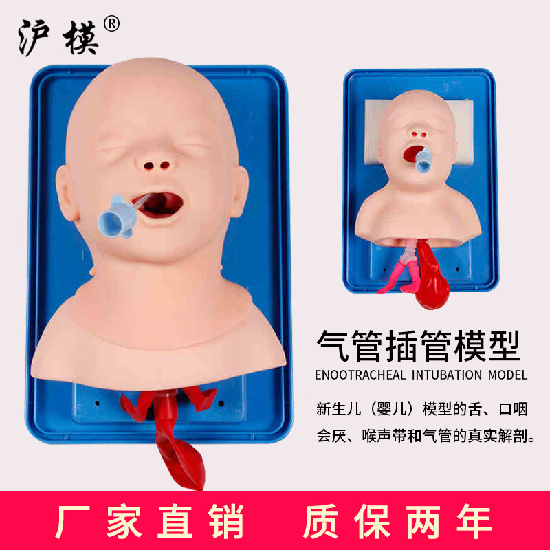 沪模 HM/J15 新生儿婴儿童气管插管急救训练模型模拟假人体气管插管模具HM/J10