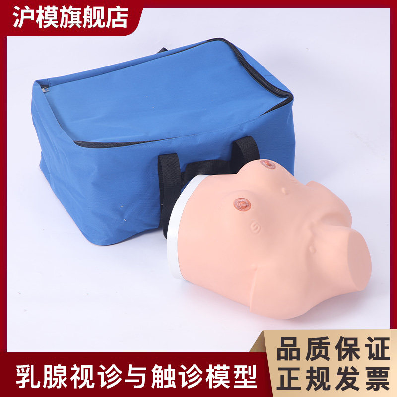 沪模 HM/F7BZ乳腺视诊与触诊模型 女性乳房乳腺检查模型 视诊与触诊操作模型