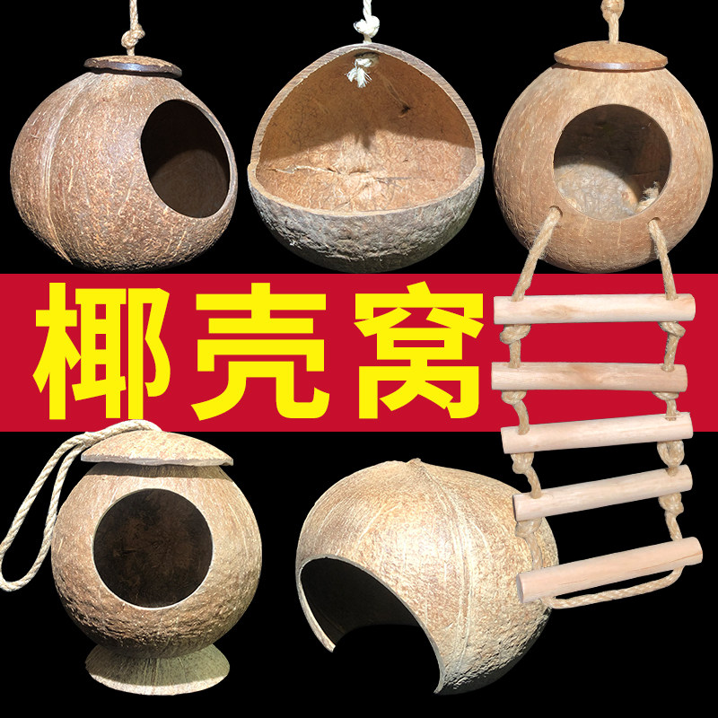 Coconut Shell Hamster Dens Refuge from Golden Silk Bear Summer Build View Supplies Lodge Woody Coconut House Honey Bag Squirrel Squirrel