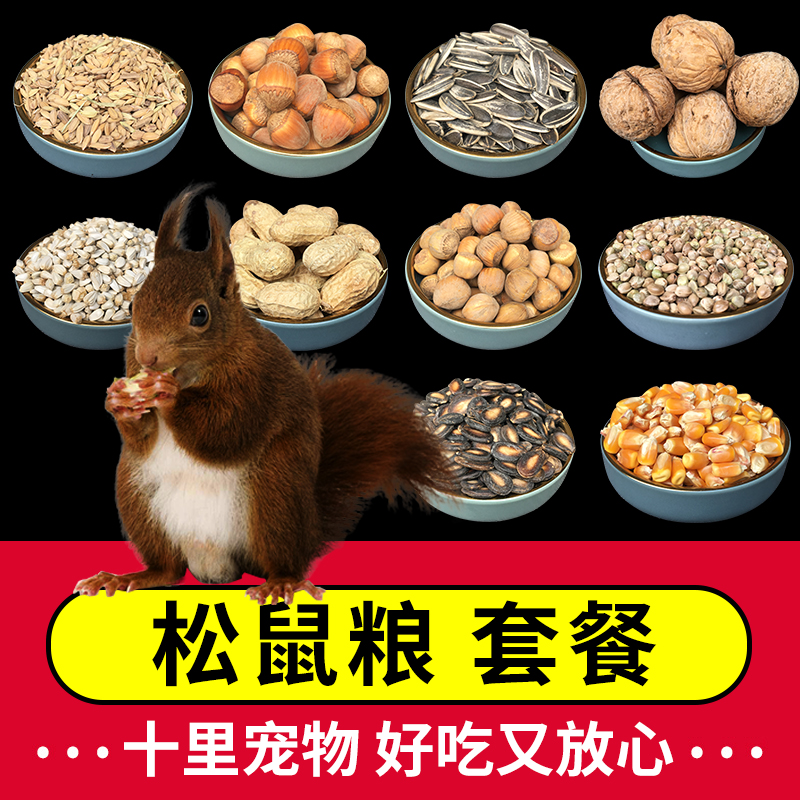 Special grain for food supplies feed packages eaten by the nut cubs of the squirrel grain Huangshan main food nut cub