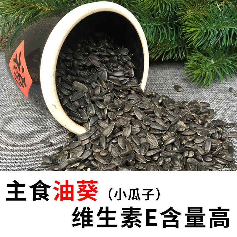 Ten miles of oil sunflower squirrel squirrel food food eating demon hamster parrot basalt staple food