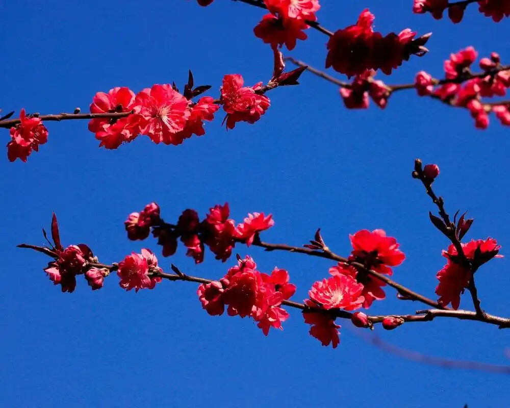 桃花潭