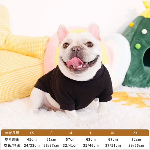 Смешная боевая борьба осень осень и зимний багол борьба с Буллоном маленькие и маленькие домашние животные домашние животные щенки щенка осень