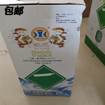 Giant Melting Ice Dragon R22R410R32R404R600 Refrigerant Coolant Flulion Ice Type Air Conditioning Fluxseed