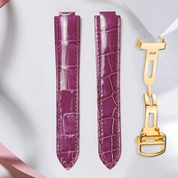 Фиолетовая золотая пряжка