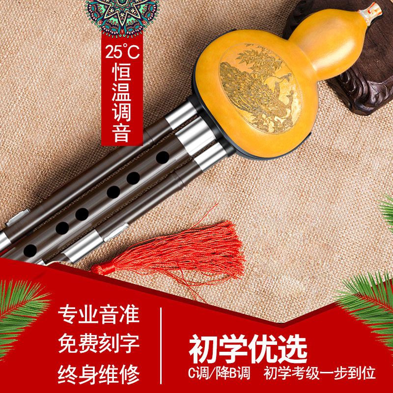 Gourd silk musical instrument beginner c tune down b tune Zizhu natural children's primary school students start playing self-study
