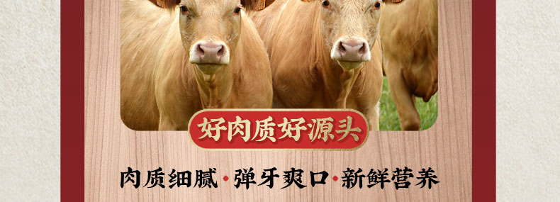 丸子家族 正宗潮汕手打牛肉丸/牛筋丸 250g*4袋 图9