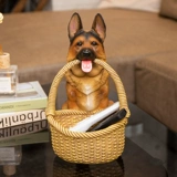 Ключ входа на крыльцо и хранение украшений творческая собака гостиная чай несколько продуктов и разных предметов