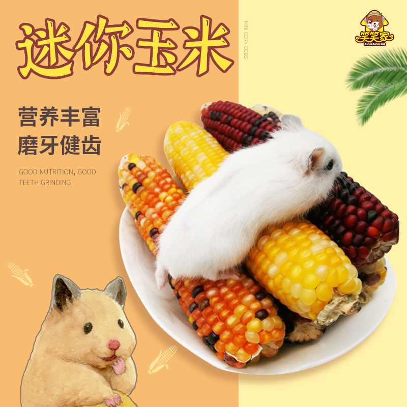 Hamster mini tortilla golden bear snack rabbit Dutch pig dragon cat grinding teeth natural grains