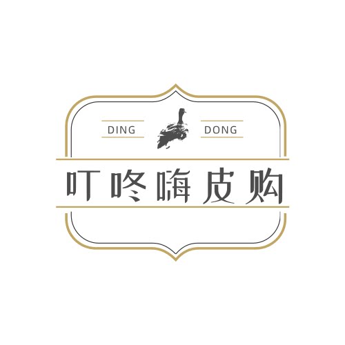 叮咚嗨皮购的LOGO