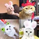 Кролик, милый забавный шлем, шапка, шерстяной аксессуар для волос, кот, наряжаться, домашний питомец
