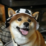 Кошачья шляпа собака Dog Summer Sunan Fisherman Шляпа может отрегулировать ухо утечка, чтобы предотвратить шлем и пройти собаку, чтобы сделать артефакт снимка