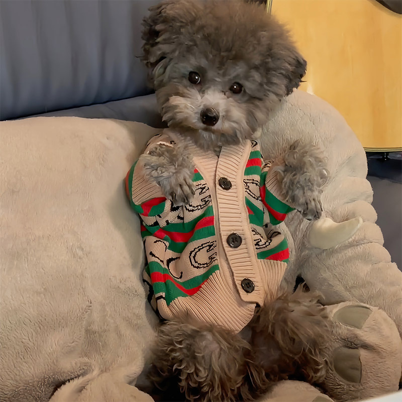 Dog Clothes Pet Autumn and Winter Cardigan Teddy Bichon Pomeranian Small Dog Cat Puppy Winter Warm Sweater Dog Clothes Pet Autumn and Winter Cardigan Teddy Bichon Pomeranian Small Dog Cat Puppy Winter Warm Sweater