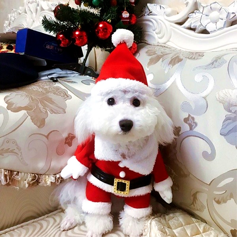 The Christmas Dog Clothing Net Red Cat funny dress 3D Santa Claus festive festival dress