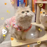 Осенний тонкий летний дышащий жилет, рукава фонарики, эффект подтяжки