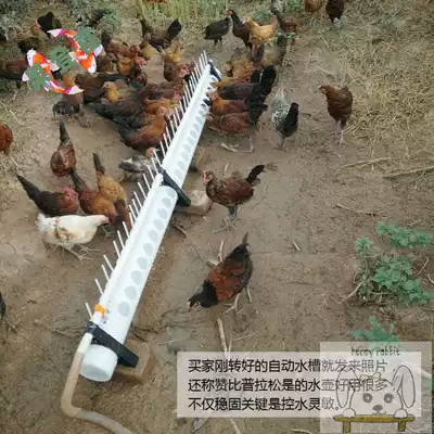 New automatic drinking water dispenser for chickens, chickens, ducks and geese, automatic drinking water feeder, sink, chicken equipment supplies