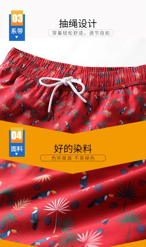 Xu hướng 361 độ lỏng quần nhanh chóng làm khô quần đi biển phù hợp với quần short kỳ nghỉ bên bờ biển kích thước lớn lò xo nóng - Quần bãi biển