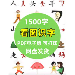 Electronic Version of Children's Literacy Cards with 1,500 Characters for Preschoolers, Including Pictograms and a Comprehensive Picture-Based Literacy Guide for Kindergarten