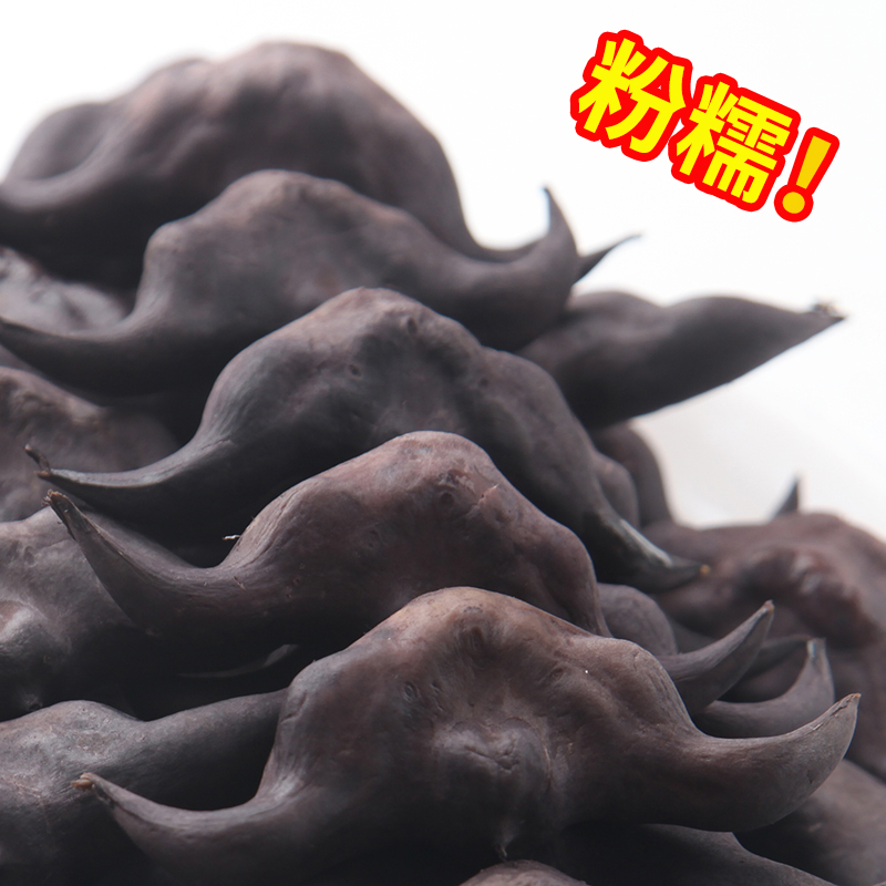 Hubei specially produced black Lingang vegetables 5 kg of fresh angle powder glutinous angle