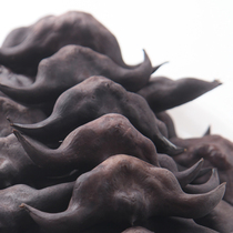 Honghu water chestnut fresh old water chestnut linghorn black water chestnut large angular Rice picking vegetable specialty 5kg