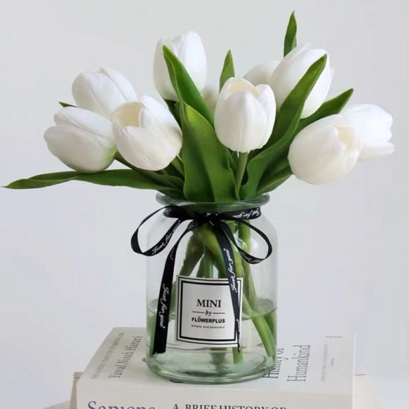 Tulip seed seed balloon flower cultivated seed seed seed with flower cloth self suit white