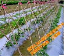 Vegetable garden set up bamboo pole dancing bamboo pole garden fence garden fence bamboo pole