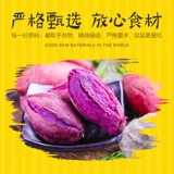 Little Homster Snack Purple Potato Dished Golden Karkin, Nutrition морская свинка, голландская свинья и кролика