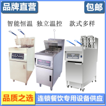 Vertical electric heating frying oven computer version single cylinder double screen frying oven controlled warm electric frying stove electric frying oven burgers equipment