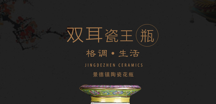 Jingdezhen porcelain in qianlong ears king porcelain paint large vase sitting room adornment penjing collection