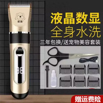 Electric professional electric clipper rechargeable Teddy hair pusher electric tweeter dual plug-in electric haircut pet shaving