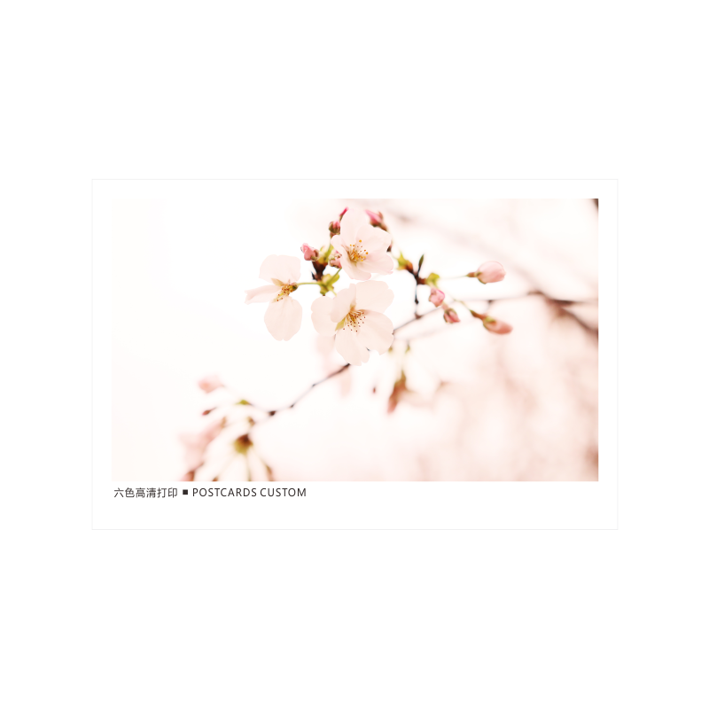 Shenmo A5 card drawing customized special paper printing