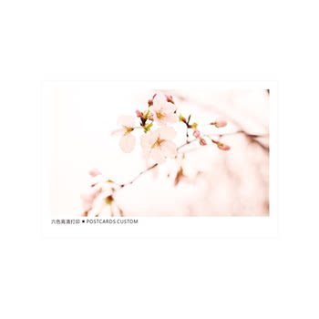 Shenmo a5 card drawing customized special paper printing