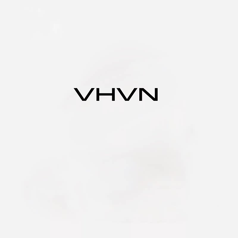 VHVN品牌店的LOGO