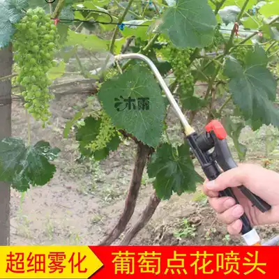 Electric sprayer atomizing nozzle adjustable stainless steel ultra-fine grape pull bloated sprayer nozzle for agricultural use