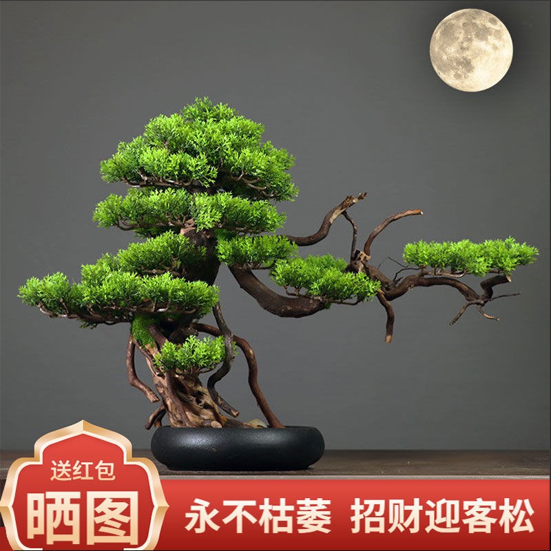 Simulated plant welcome pine bonsai Chinese style lucky new Chinese dining room porch tea room living room TV cabinet potted plants