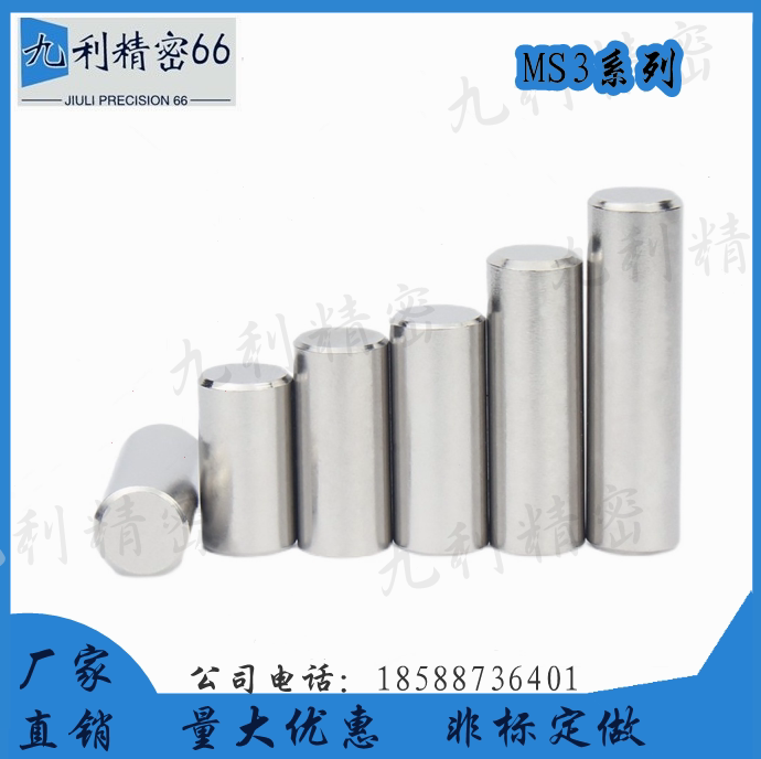 Straight lever positioning pin disc with positive tolerances pin MS3-6 8 10 12 12 20 20 25 30