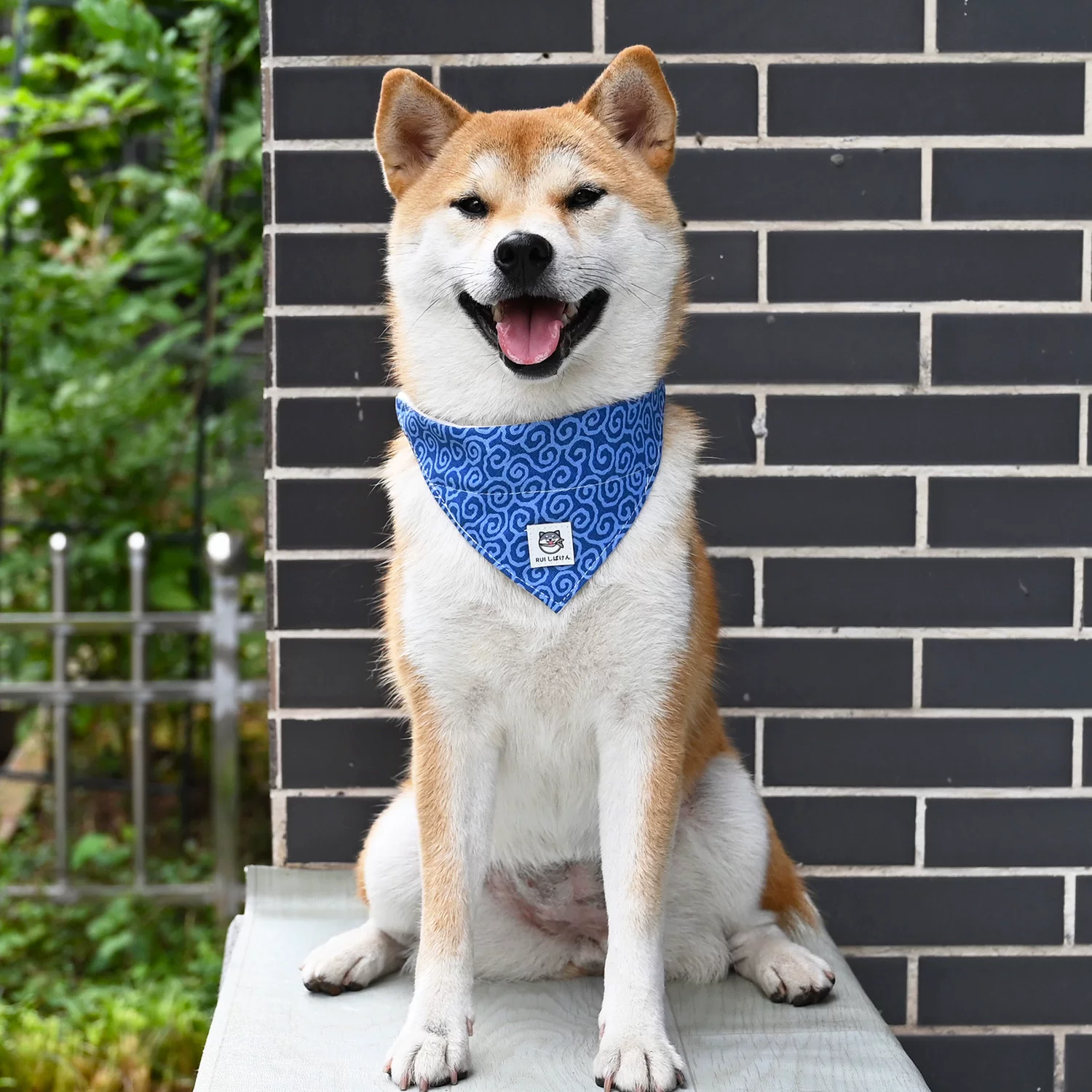 «/Rui Chai Limited/Yellow Tang Grass pattern Japanese -style collar neck Circle Circles Triangle Triangular Bare Shiba Inu Dog Traction Rope»