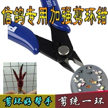 Letter Dove Sheared Clippers Letter Dove Foot Rings Shearer Pigeons Pigeon Utensils Supplies Feet Ring Rüring Clippers Dove Dove