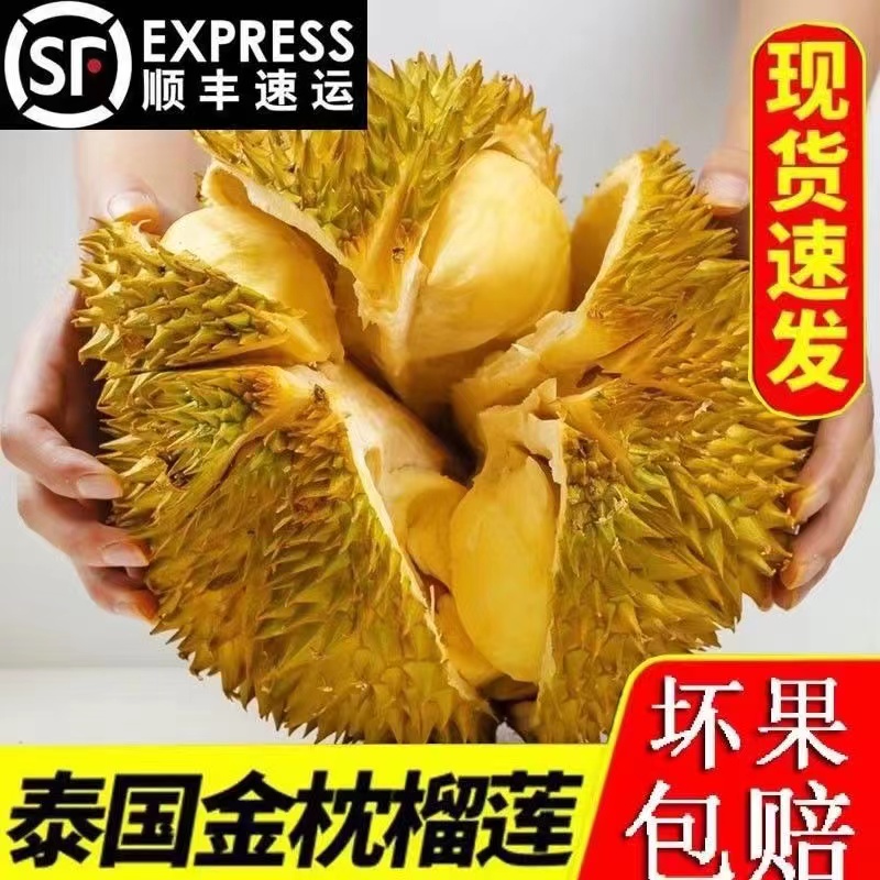 Thai gold pillow durian fresh should season fruit one whole with shell whole fruit bab palm gold pillows a goshonfeng-Taobao