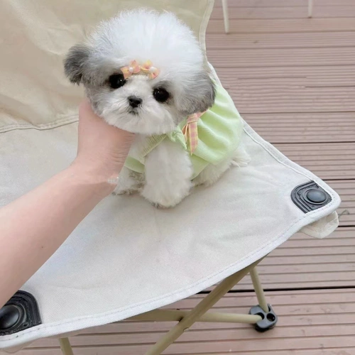 Платье из тыквы -буд