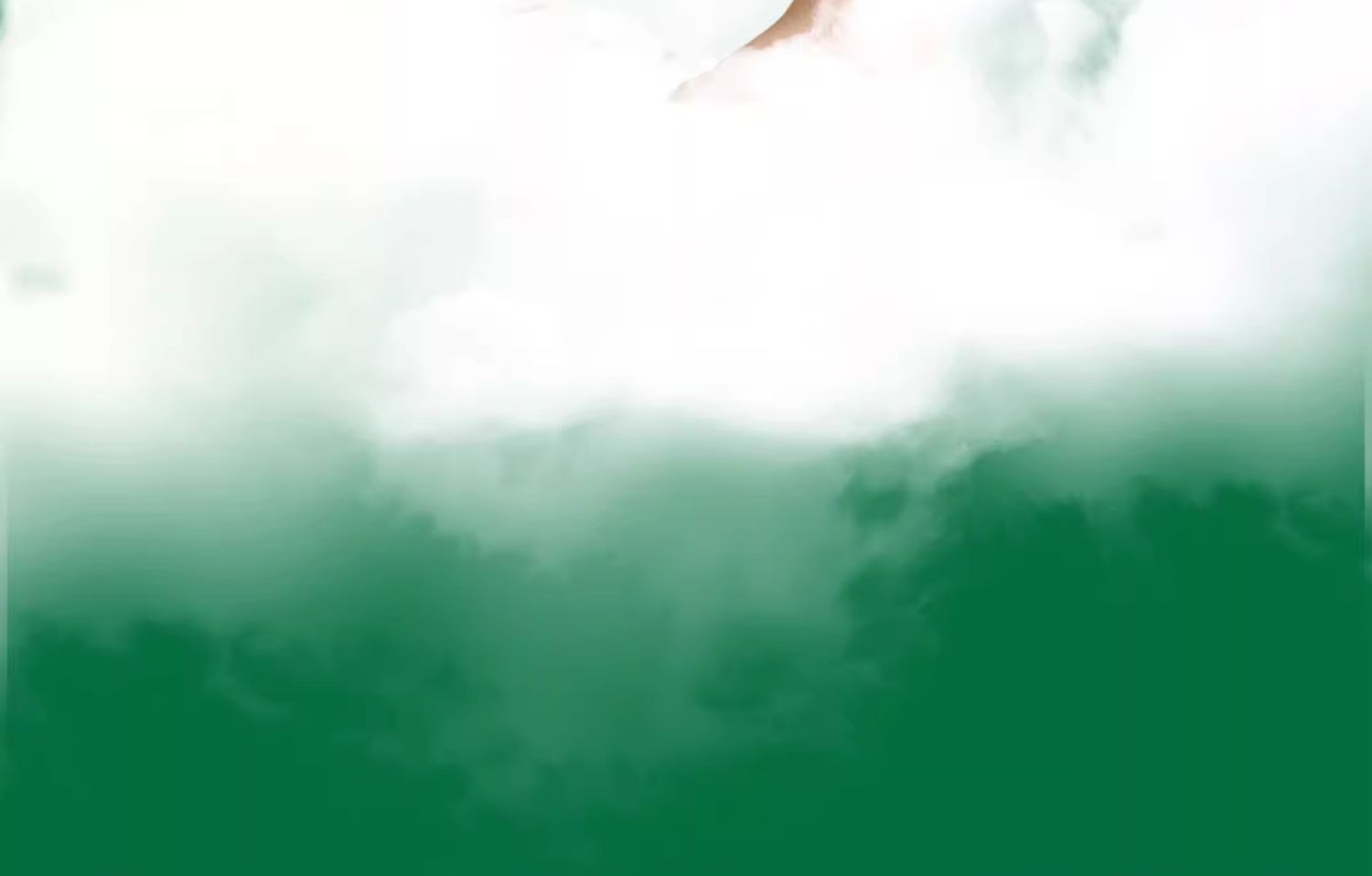 O1CN01YF9MPL2GIOSJWdeRM_!!2200573698992.jpg