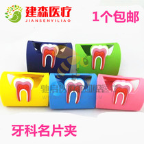 Dental Material Oral Teeth Codenomination Sheet Clip Dental Adornment Dentin Type Name Card Holder Business Card Shelf