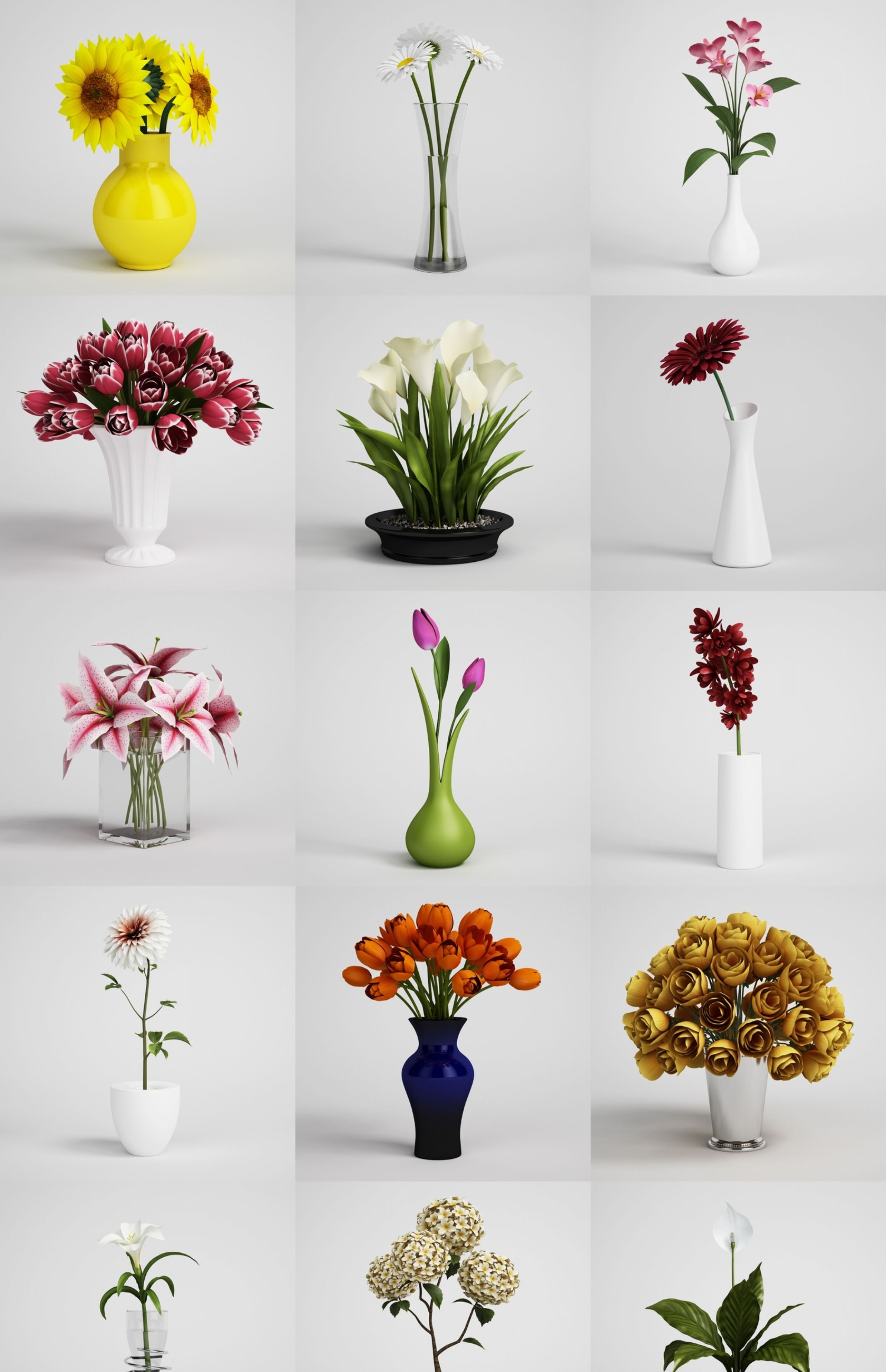 C4D向日葵FBX雏菊STL玫瑰OBJ马蹄莲Blender百合郁金香兰花3D素材-cg男孩