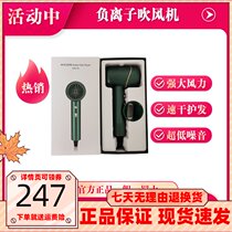 Golden rice hair dryer negative ion hair care quick drying without injury high power household silent blower dormitory hair dryer