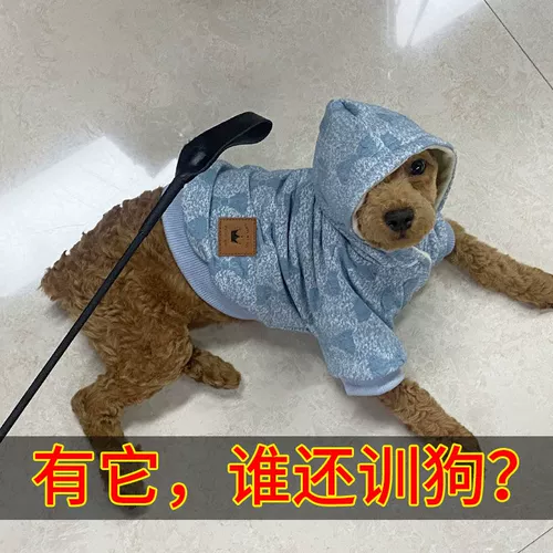 Устройство для тренировок с собаками для собак