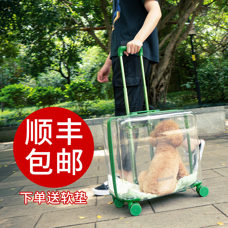 Pet dog suitcase bag cat cat cat bag out carry space capsule school bag pet backpack outside the door trolley case handheld