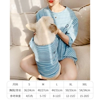 Синие полосы